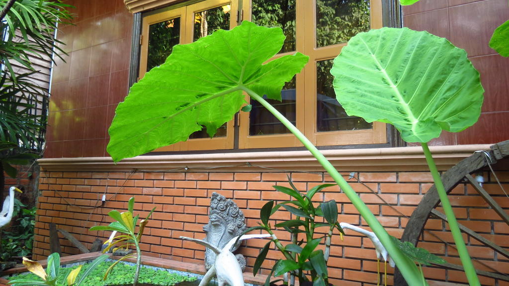 Big Lyna Villa Сием Рип Экстерьер фото